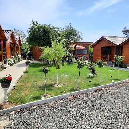 Cabanele Deltei Dunavăţu de Jos Buitenkant foto