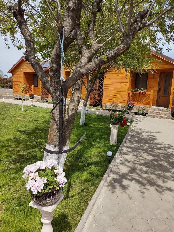 Cabanele Deltei Dunavăţu de Jos Buitenkant foto