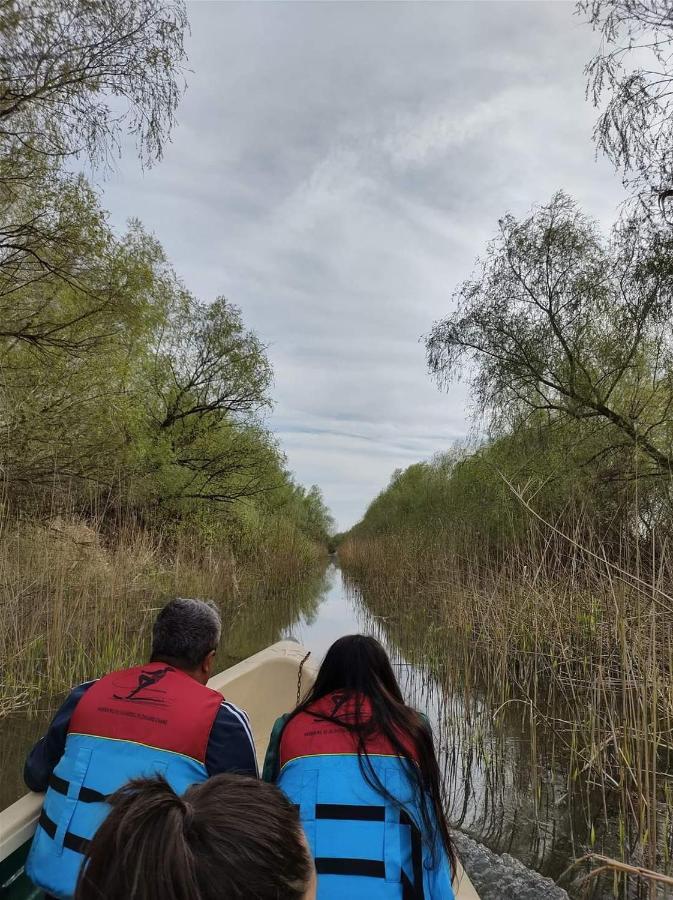 Cabanele Deltei Dunavăţu de Jos Buitenkant foto