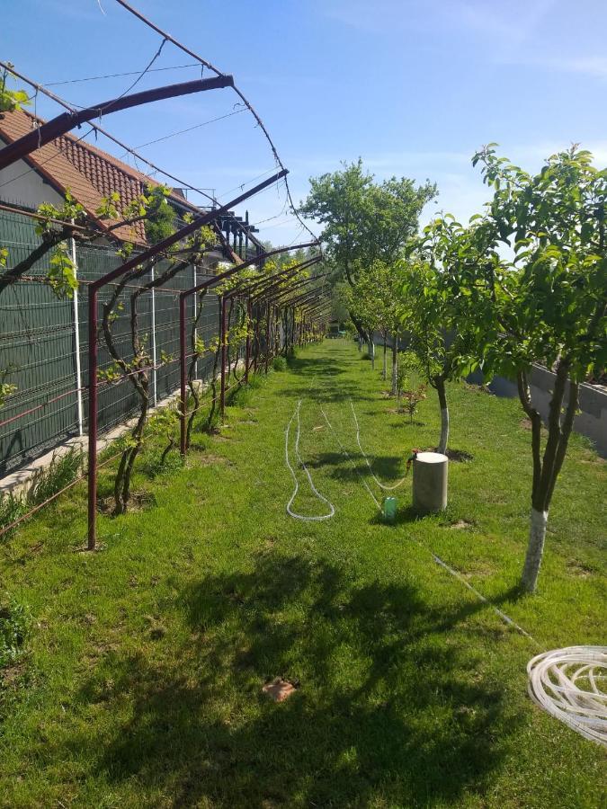 Cabanele Deltei Dunavăţu de Jos Buitenkant foto
