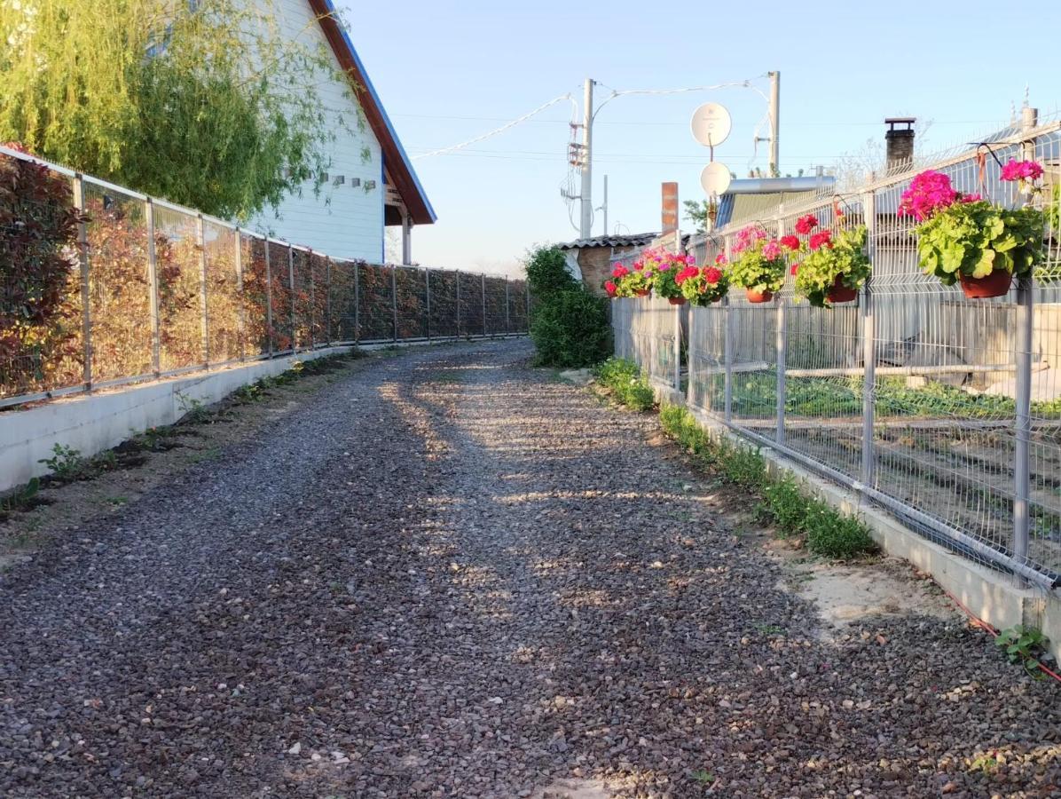 Cabanele Deltei Dunavăţu de Jos Buitenkant foto