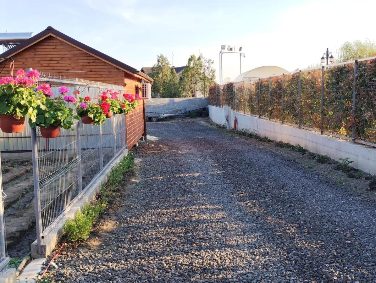 Cabanele Deltei Dunavăţu de Jos Buitenkant foto