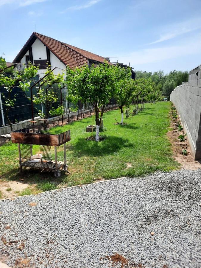 Cabanele Deltei Dunavăţu de Jos Buitenkant foto