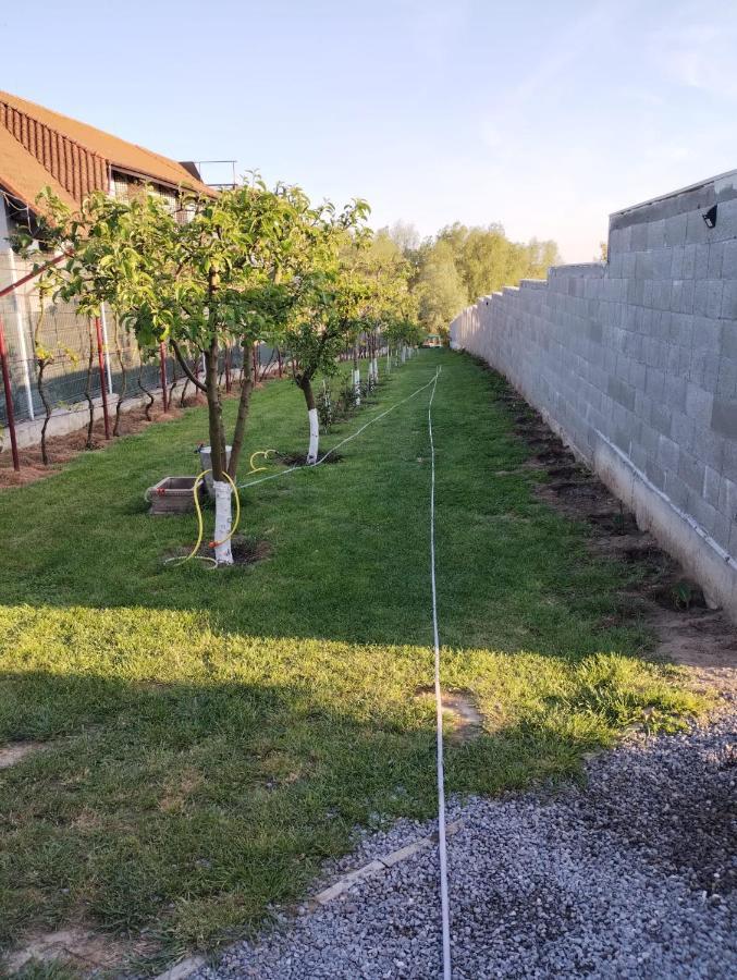 Cabanele Deltei Dunavăţu de Jos Buitenkant foto